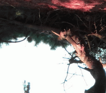 Agnes Obel - Myopia Image 1